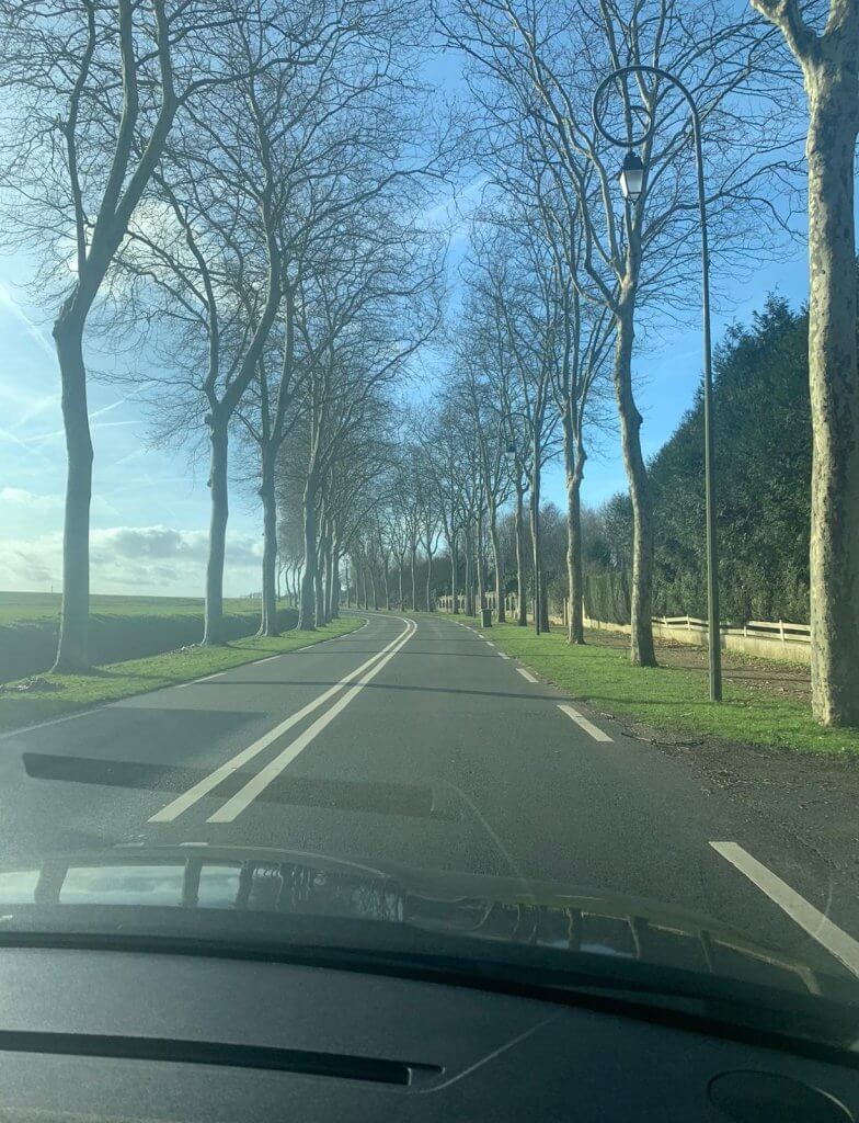 route arboré